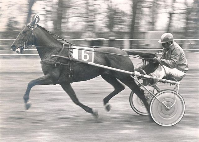 Nestor Roodnoot أثناء نشاطه في مضمار سباق الخيل Duindigt عام 1975